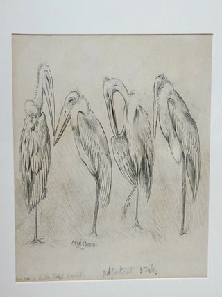 LOUIS WAIN – A Charming Framed Original Graphite Drawing “We Are A Discontented Band of Storks”