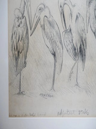 LOUIS WAIN – A Charming Framed Original Graphite Drawing “We Are A Discontented Band of Storks”