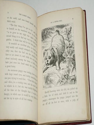 Alice’s Adventures In Wonderland (13th thousand)
