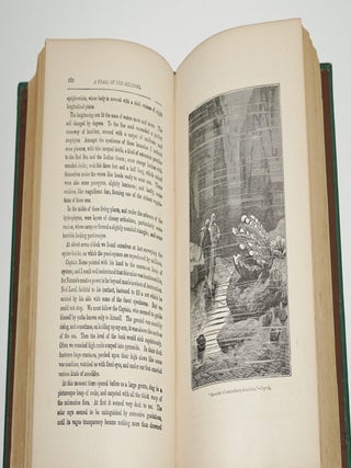 TWENTY THOUSAND LEAGUES UNDER THE SEAS